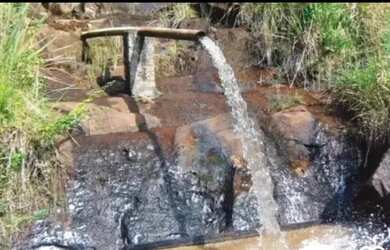 Imagem 2: Ubatã Bahia, Fazenda de Pecuária, Piscicultura e Cacau, linda área