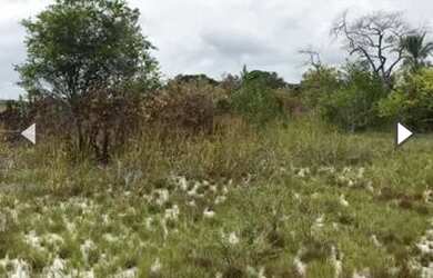 Imagem 4: Terreno em Ilha de Boipeba