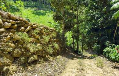 Imagem: O terreno possui 51.887m² de Área e está localizado em Comunidade