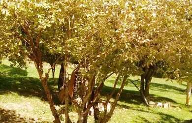 Imagem 10: Chácara á venda em Mairinque