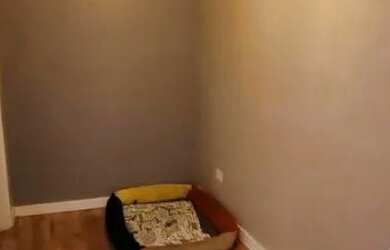 Imagem 15: RUDGE RAMOS - VILA VIVALDI - CASA TÉRREA - 3 DORMITÓRIOS 2 SUÍTES E...