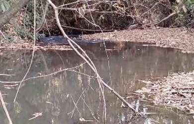 Imagem 10: Chácara em Aragoiania. Piscina
