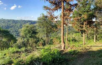 Imagem 13: Área Rural - Bairro Carazal