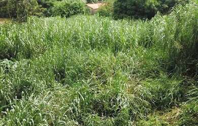 Imagem: O terreno possui 100m² de Área e está localizado em Itaparica