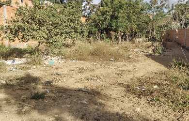 Imagem 5: Lote 400m2 R$ 70mil contato