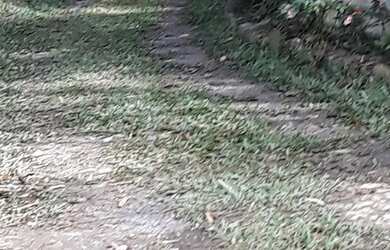 Imagem 6: Chácara Juquitiba- Miracatu