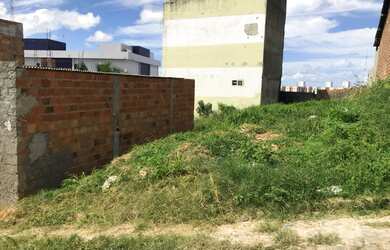 Imagem 4: Terreno vizinho ao Hospital Univertário