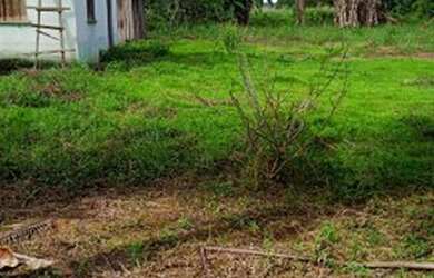 Imagem 2: Vendo um terreno. 2 Banheirose2 Dormitórios