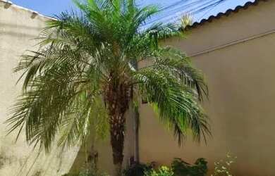 Imagem: A casa possui 2 Dormitórios, 1 Banheiro, 2 Vagas na garagem