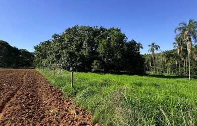 Imagem: A chácara possui 20000m² de Área e está localizado em Bela
