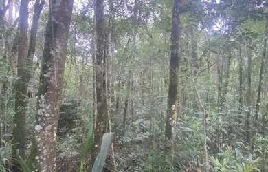 Imagem 5: Área rural para venda. 30.401m² de Área