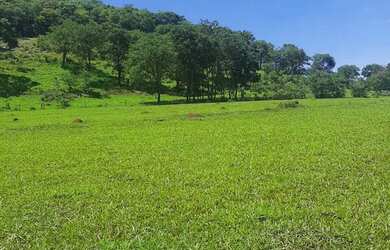 Imagem: A fazenda e está localizado em Itumbiara, GO à venda por R$3.600.000