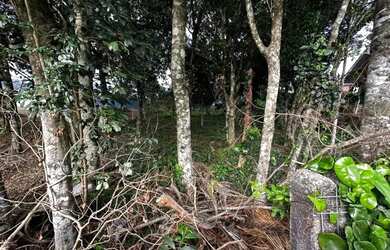 Imagem 4: Terreno - Bairro Belvedere