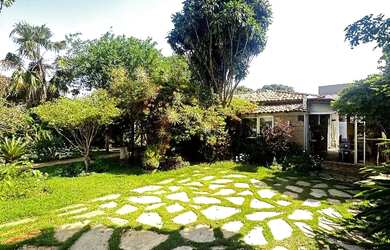 Imagem 15: GALINHA MORTA PREÇO ABAIXO DO MERCADO NA PONTE ALTA NORTE