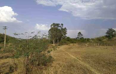 Imagem 8: Sítio à Venda, Floresta Escura, São Pedro, SP