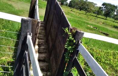 Imagem: A fazenda possui 58m² de Área e está localizado em Park