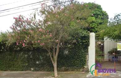 Imagem 3: TERRENO - BUTANTÃ - SP