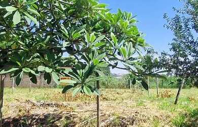 Imagem: O terreno possui 300m² de Área e está localizado em Santa