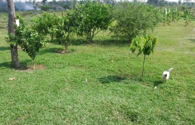 Imagem 13: Vende-se uma linda fazenda