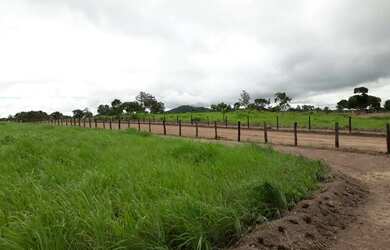 Imagem: A fazenda possui 1m² de Área e está localizado em Mozarlândia