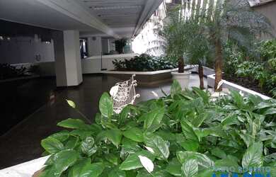 Imagem 3: CONJ. COMERCIAL - PARAÍSO - SP