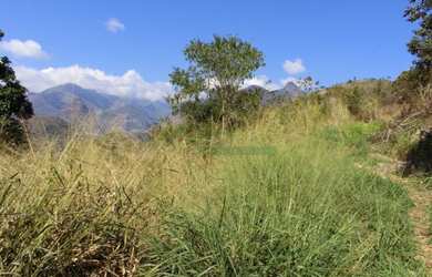 Imagem: O terreno possui 1.200m² de Área e está localizado em Corrêas