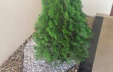 Imagem 3: Casa à venda no bairro Jardim Jóckei Club A - São Carlos/SP