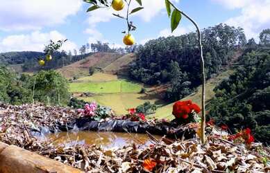 Imagem: A chácara à venda possui e está localizado em Santa Maria
