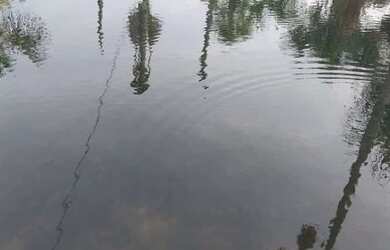 Imagem 3: SÍTIO COM BANHO BOITRNTO