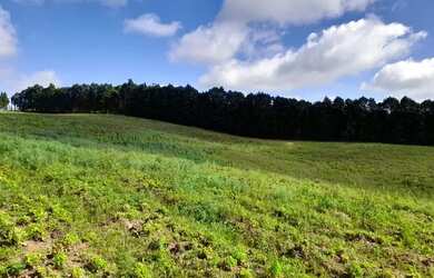 Imagem: O terreno possui 500m² de Área e está localizado em Cidade