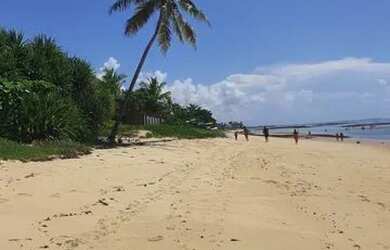 Imagem 5: Terreno em Praia para Venda em Porto Seguro, Arraial D Ajuda