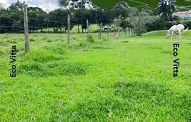 Imagem: O terreno possui 600m² de Área e está localizado em Centro