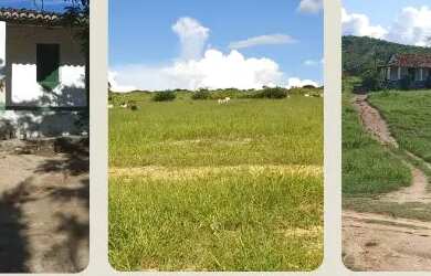 Imagem: A fazenda está localizado em Boa Vista do Tupim, BA à venda