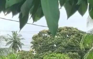 Imagem 3: CASA SOLTA, PERTO DO RIO, PERTO DO MAR