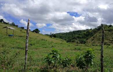 Imagem 7: Vendo excelente fazendinha em Nazaré das farinha