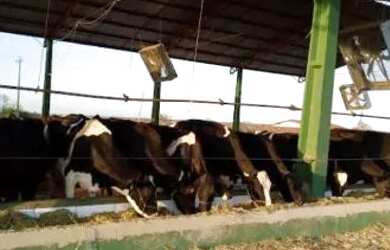 Imagem: A fazenda possui 15.400.000m² de Área e está localizado