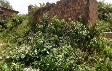 Imagem: O terreno possui 23m² de Área e está localizado em Umbaúba