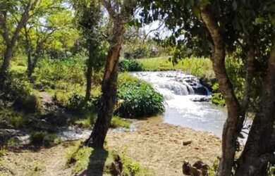 Imagem 2: Fazenda com cana próximo Uberlândia