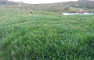 Imagem 4: Vende-se uma linda fazenda