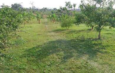 Imagem 16: Vende-se uma linda fazenda