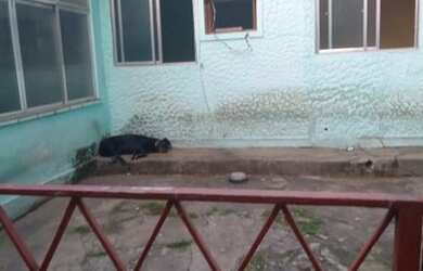 Imagem 15: Casas. 1 Vaga na garageme3 Dormitórios