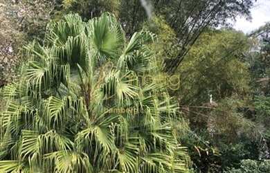 Imagem 10: Jardim dos Estados- Alto da Boa Vista