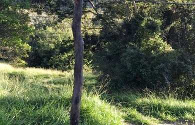 Imagem 15: Fazenda no município de Santa Cruz de Goiás com 83 alqueires para cria...