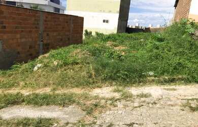 Imagem 5: Terreno vizinho ao Hospital Univertário