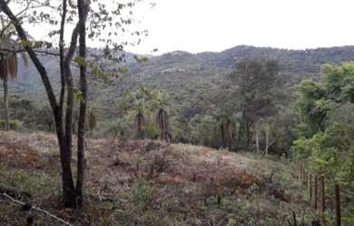 Imagem: O terreno possui 1.500m² de Área e está localizado em Sao
