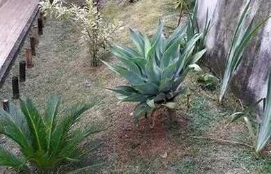 Imagem 6: Chalé à venda em Penedo RJ em Condomínio Fechado por R$ 360.000