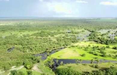 Imagem: A fazenda possui 188m² de Área e está localizado em Arinos