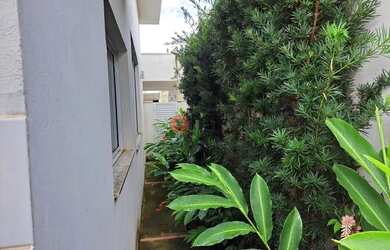 Imagem 13: SAO JOSE DO RIO PRETO - Residential / Condo - CONDOMINIO IDEAL LIFE