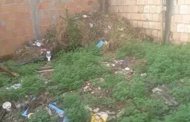 Imagem: O terreno possui 5m² de Área e está localizado em Novo Israel