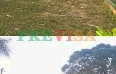 Imagem 2: Fazenda / Sítios / Chácaras com 6 quartos à venda em Três Marias